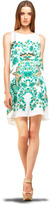 Thumbnail for your product : Max Studio Printed Sheath Dress