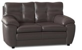 Thumbnail for your product : Red Barrel Studio Beneduce 62.5" Pillow Top Arm Loveseat Body Fabric: San Marino Chocolate