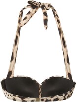 Thumbnail for your product : Dolce & Gabbana Leopard Print Bikini Top