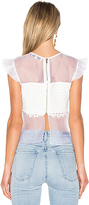 Thumbnail for your product : Karina Grimaldi Petite Lace Top