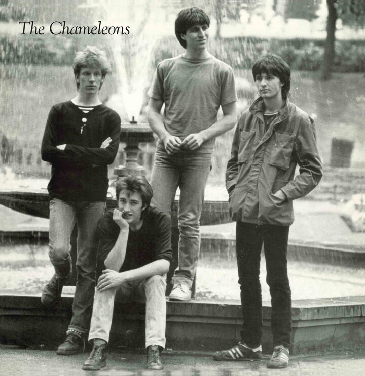 Blue Apple Music Uk The Chameleons - TONY FLETCHER - Music & Performance - Vinyl