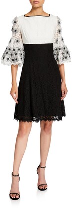 Shani Colorblock Fit-&-Flare Lace Dress with Floral Sleeve Applique