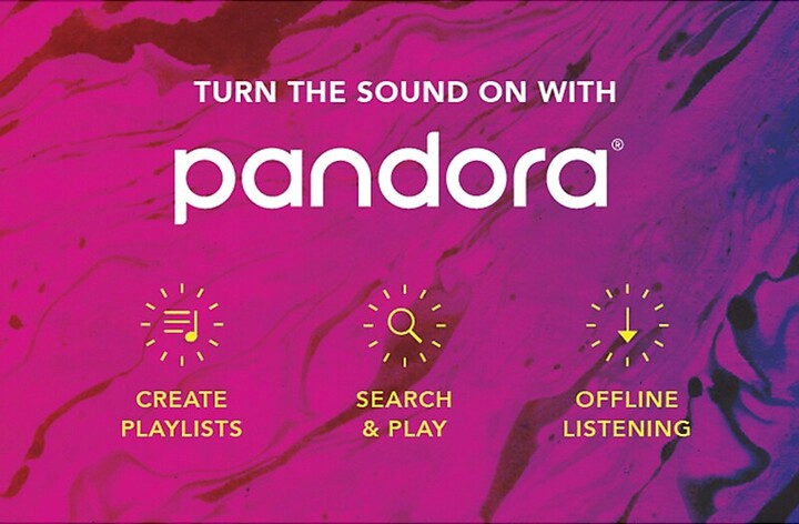 Pandora Gift Card $100 (Email Delivery)