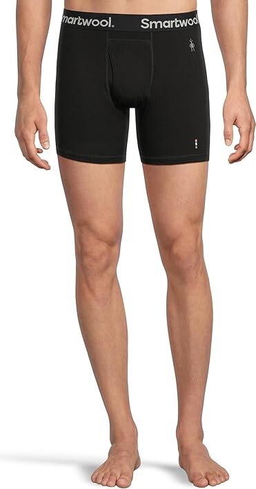 Smartwool Merino Boxer Brief Men's Underwear Black : XL, Nylon/Wool
