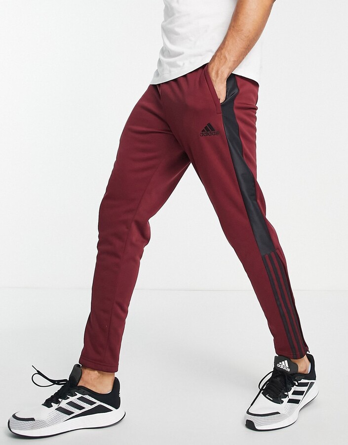 adidas Men's Red Activewear Pants | ShopStyle