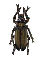 Thumbnail for your product : Gianfranco Ferré Pre-Owned 2000s Beetle Brooch