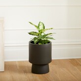 Thumbnail for your product : west elm Bishop Indoor/Outdoor Pedestal Planters