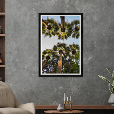 Tim Klein Photography Athens Palm II by Tim Klein - Picture Frame Photograph
