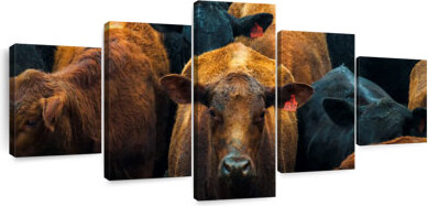 Ebern Designs Brazilian Cows