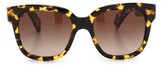 Thumbnail for your product : Oliver Peoples Brinley Sunglasses