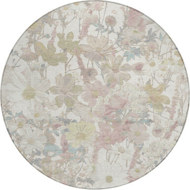 Orren Ellis 8' Ivory Beige And Linen Round Floral Washable Indoor Outdoor Area Rug