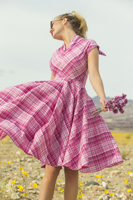 Shabby Apple Buttercup Stretch Poplin Plaid Fit And Flare Dress Pink