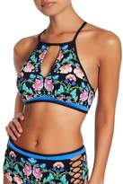 Thumbnail for your product : Nanette Lepore Damask Floral Bikini Top