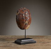 Thumbnail for your product : Restoration Hardware South Sea Large Turtle on Stand