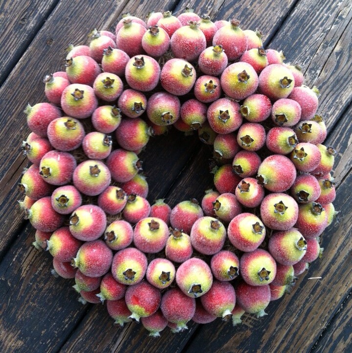 Fruit Wreath, Sugared Pomegranate Wreath