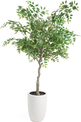 5ft Covered Outdoor Faux Weeping Fig Tree In Hand Made Ceramic Pot