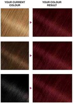 Thumbnail for your product : Garnier Olia 4.62 Dark Garnet Red Permanent Hair Dye