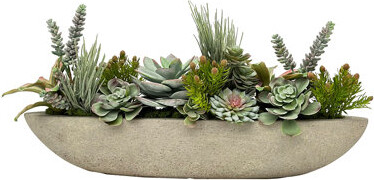 Winward Home Succulent In Boat