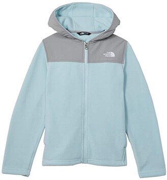 north face fabmix fleece hoodie