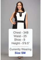 Thumbnail for your product : Tahari by Arthur S. Levine Plus Size Allen Jacquard Dress