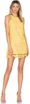 Thumbnail for your product : Lovers + Friends Caspian Shift Dress