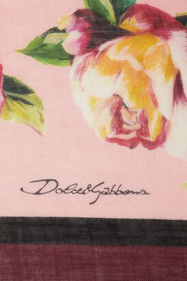 Dolce & Gabbana Floral-print Cashmere And Silk-blend Gauze Scarf