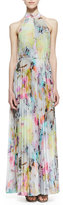 Thumbnail for your product : Ted Baker Hecuba Electric Day Dream Maxi Dress