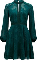 Thumbnail for your product : Ever New Sallie Embroidered Dress