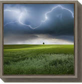 Thumbnail for your product : Schumacher Amanti Art Someplace in Summer by Franz Canvas Framed Art