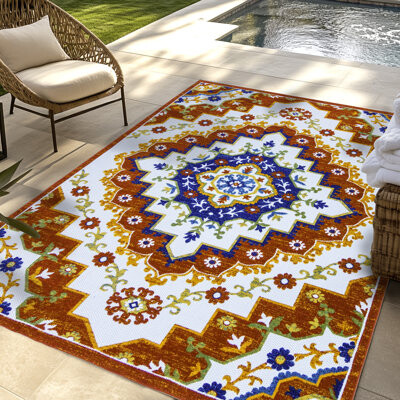 Charlton Home Gisely Amira Red Bohemian Medallion Polypropylene High Low Flatweave Indoor Outdoor All Weather Area Rug