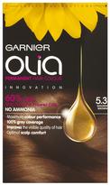 Thumbnail for your product : Garnier Olia Permanent Hair Colour - Golden Brown 5.3