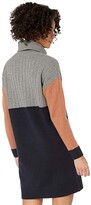Thumbnail for your product : Madewell Color-Block Turtleneck Sweater Dress Women's Dress