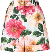 Thumbnail for your product : Dolce & Gabbana Floral-Print High-Waist Shorts