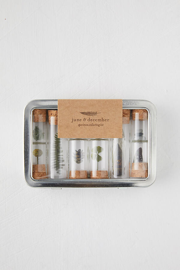Specimen Kit at Terrain