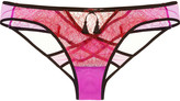 Thumbnail for your product : Agent Provocateur Megan lace and stretch-tulle briefs