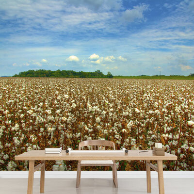 IDEA4WALL Cotton Field Ready for Harvest Self-Adhesive Large Wallpaper