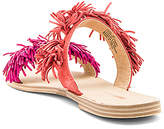 Thumbnail for your product : Matiko Azula Sandal