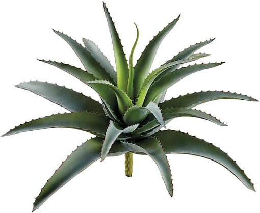 Allstate Spiky Green Agave Pick