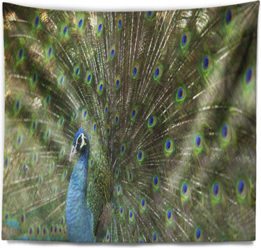 Animal Beautiful Peacock with Feathers Tapestry