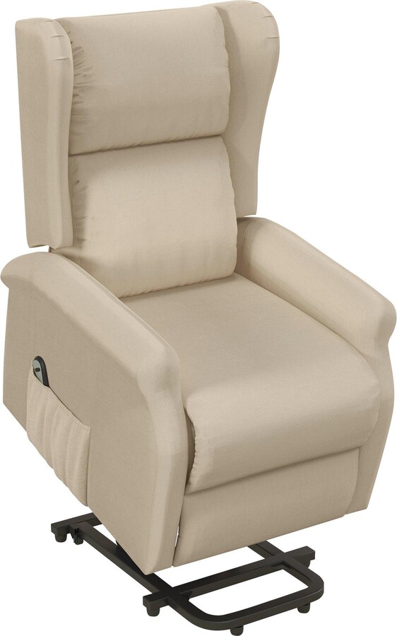 Riser and Recliner Chair Electric Reclining Chair with Remote