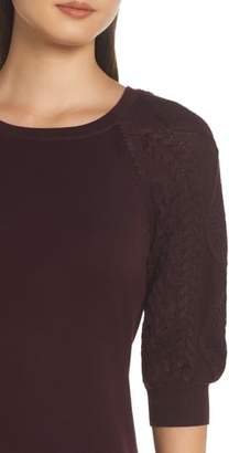 Eliza J Cable Sleeve Sweater Dress