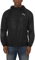 Thumbnail for your product : Puma ACTIVE StretchLITE Storm Jacket
