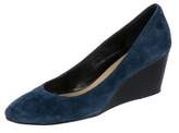 Thumbnail for your product : Taryn Rose Kathleen Suede Wedges