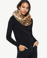 Thumbnail for your product : Ann Taylor Cheetah Faux Fur Snood