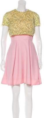 Christian Dior Lace-Paneled Mini Dress Pink Lace-Paneled Mini Dress
