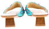 Thumbnail for your product : Sergio Rossi Sandals