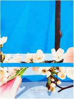 Thumbnail for your product : Ted Baker Daisy harmony long silk scarf