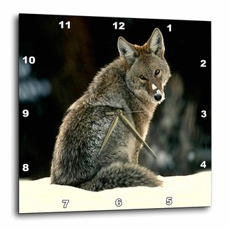 3drose Coyote Wall Clock, 10 by 10-Inch