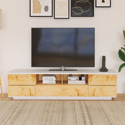 Ivy Bronx Multi-Functional Storage And Door Rebound Device Modern TV Stand Fits Tvs Up To 70 To 79 In.