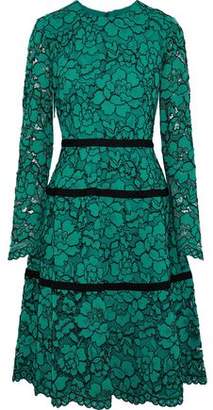 Lela Rose Grosgrain-trimmed Corded Lace Dress